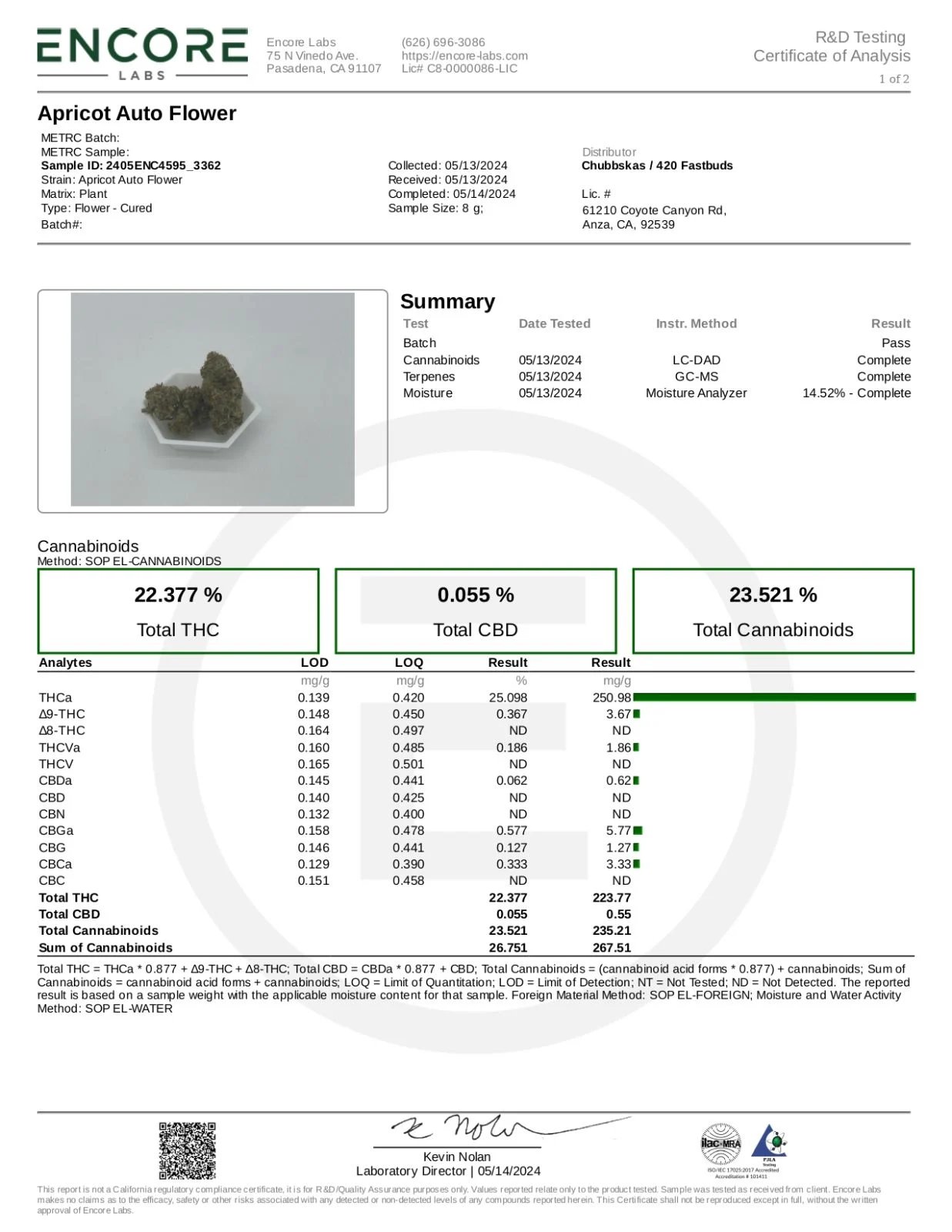 Apricot Auto – FastBuds – Autoflowering