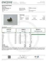 Apricot Auto – FastBuds – Autoflowering