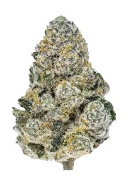 Lemonpaya™ – FastBuds – Feminized