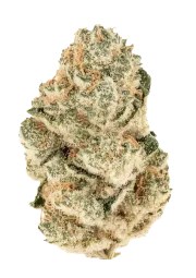 Gorilla Melon™ – product view 1