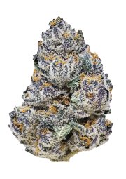 Rainbow Melon™ – FastBuds – Feminized