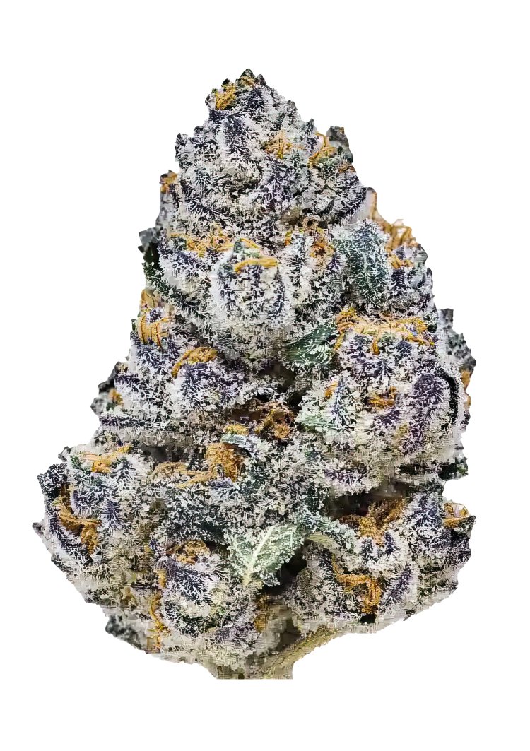 Rainbow Melon™ – FastBuds – Feminized
