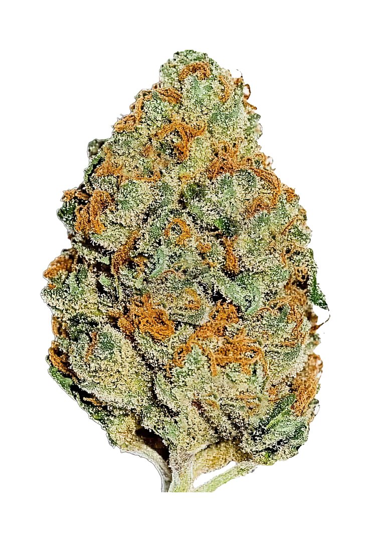 Lemon Mandarin™ – FastBuds – Feminized