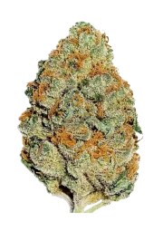 Lemon Mandarin™ – product view 1