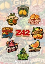 Mix Pack – product view 1