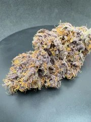 Purple Haze Auto™ – product view 7