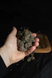 Lemon Cherry Runtz™ – product view 5