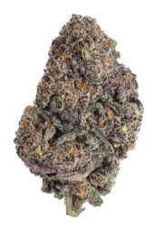 Papayton™ – product view 1