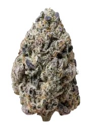 Biscotti Gelato™ – product view 1