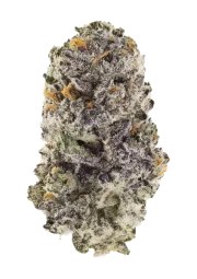 Z42™ – product view 1
