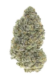 Garlic Mint Sherbet™ – product view 1