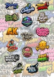 Originals Mix Auto – product view 1