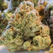 Auto Night Queen® – product view 3