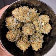 Mokum’s Tulip® – product view 4