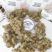 Auto Lemon Kix® – product view 5