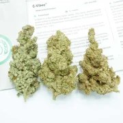 C-Vibez® – product view 2
