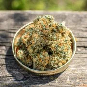 Banana Blaze® – product view 5