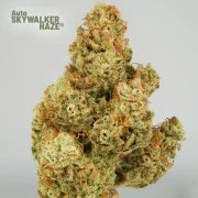 Auto Skywalker Haze® – product view 5