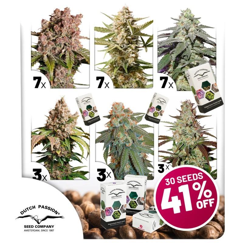 Autoflower Package Deal – product view 1