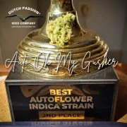 Auto Oh My Gusher – product view 2