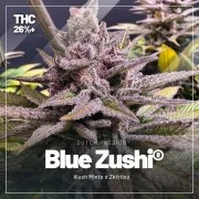 High THC Trial Pack – product view 3