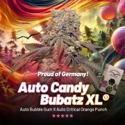 Auto Candy Bubatz XL – product view 5