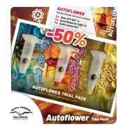 Trial Pack Autoflower – product view 1