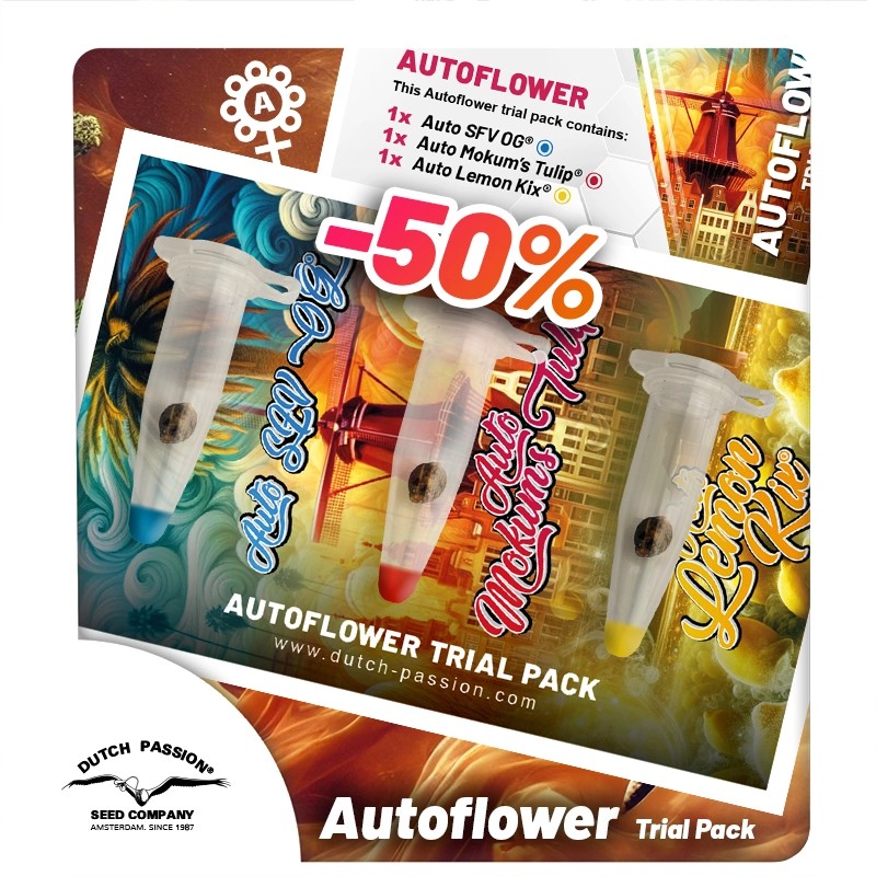 Trial Pack Autoflower – product view 1