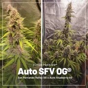 Trial Pack Autoflower – product view 2