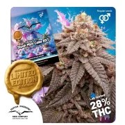 Slush Mint Cake BX1® – product view 1