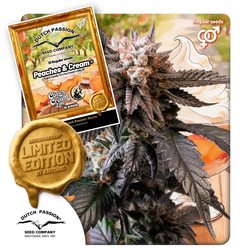 Peaches & Cream® – product view 1