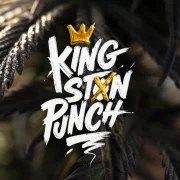 Kingston Punch – product view 5