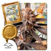 Sherblato Cake – product view 1