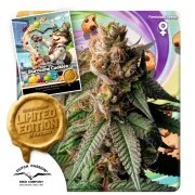 Slurricane Cookies – product view 1