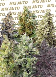 Sweet Mix Auto® – product view 2