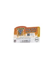 Orange Apricot Glue XL Auto® – product view 1