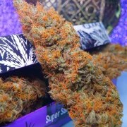 Auto Purple OG Punch – product view 2